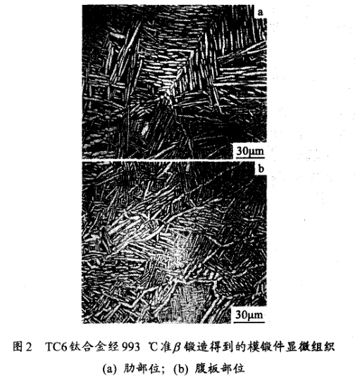 TC6鈦合金經993 ℃準鍛造得到的模鍛件顯微組織(a) 肋部位；(b) 腹板部位