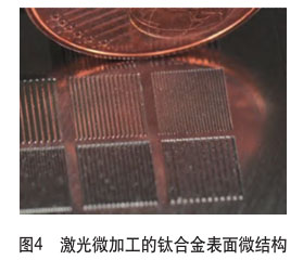 1667978353433465.jpg 4.jpg