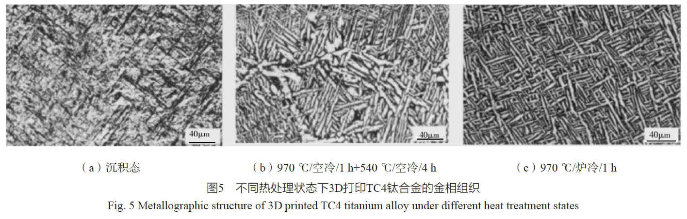 1668851906220678.jpg nt5.jpg