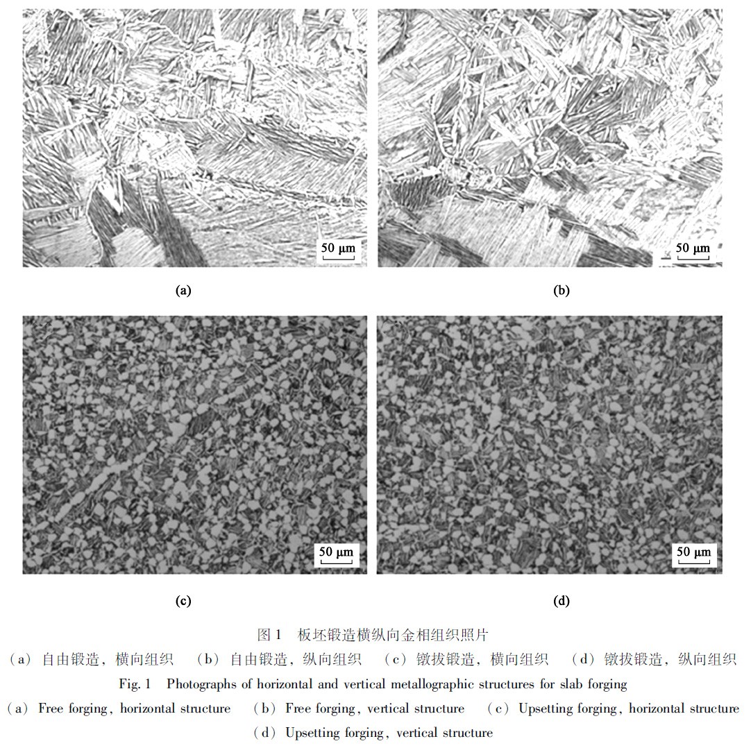 1672134713702647.jpg t1.jpg