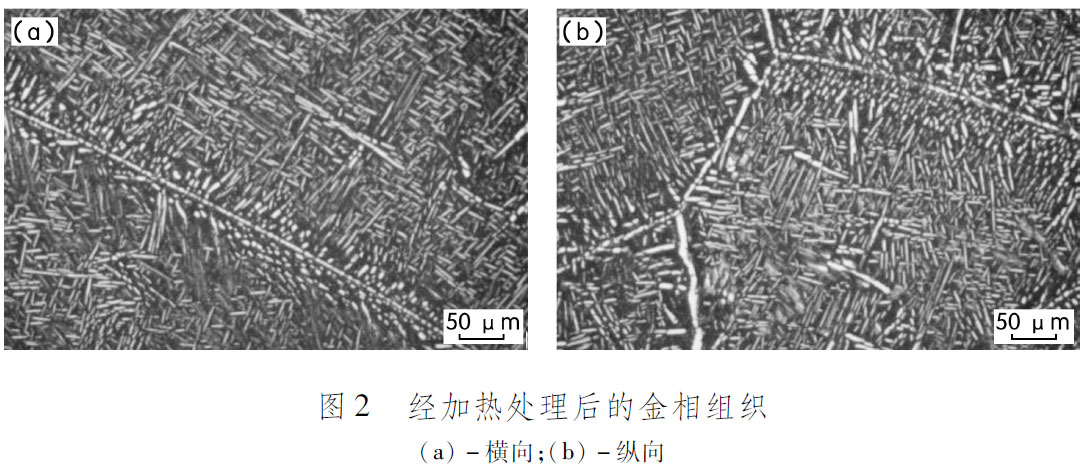 1681547828160668.jpg t2.jpg