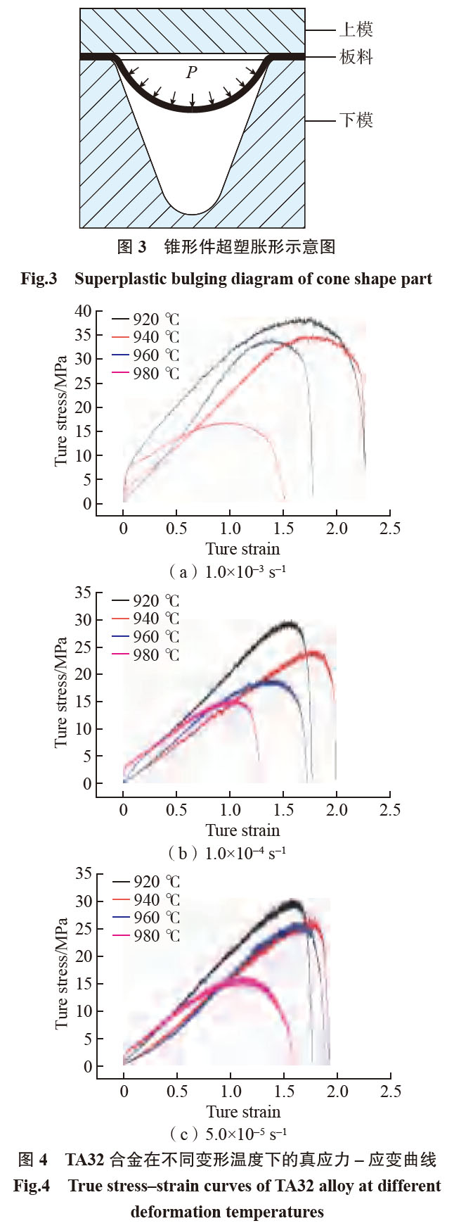 1681616023888624.jpg t3-4.jpg