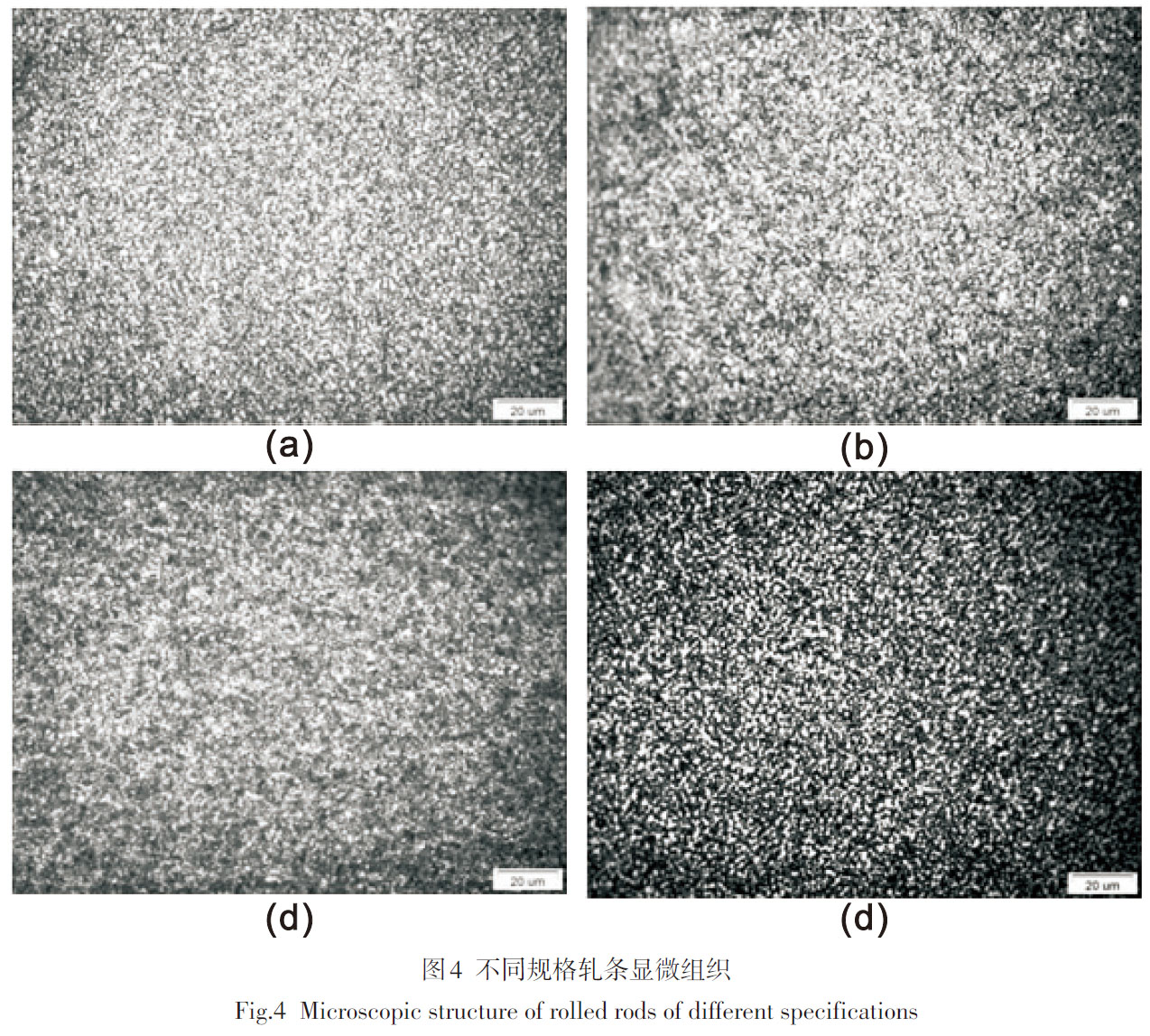 1685027781686573.jpg t4.jpg