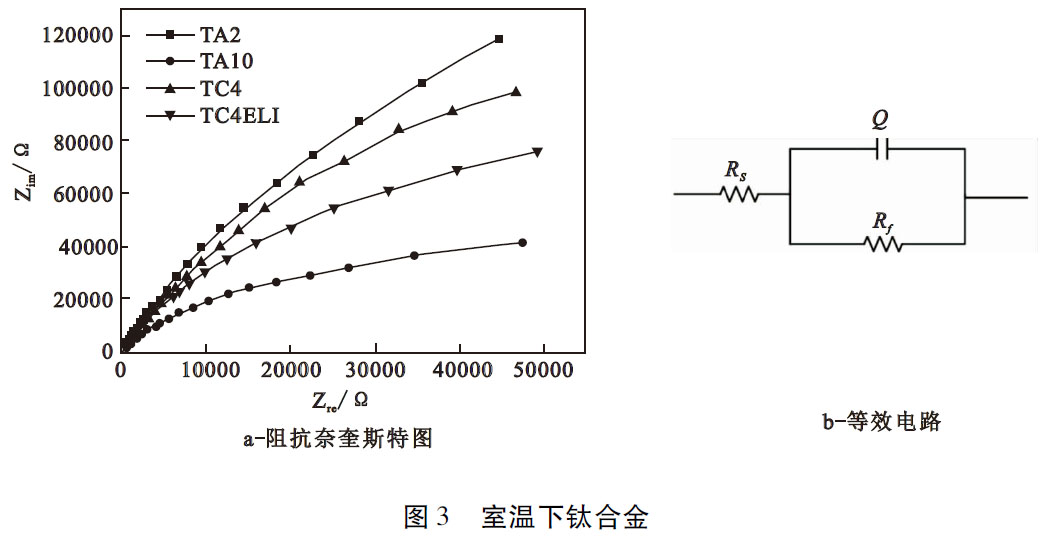 1685415699349691.jpg t3.jpg