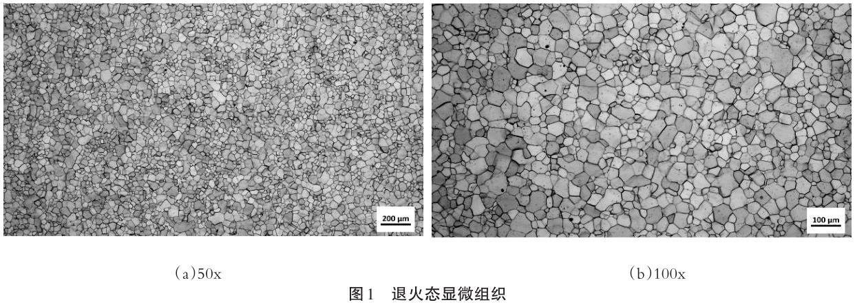 1686842553324142.jpg t1+.jpg