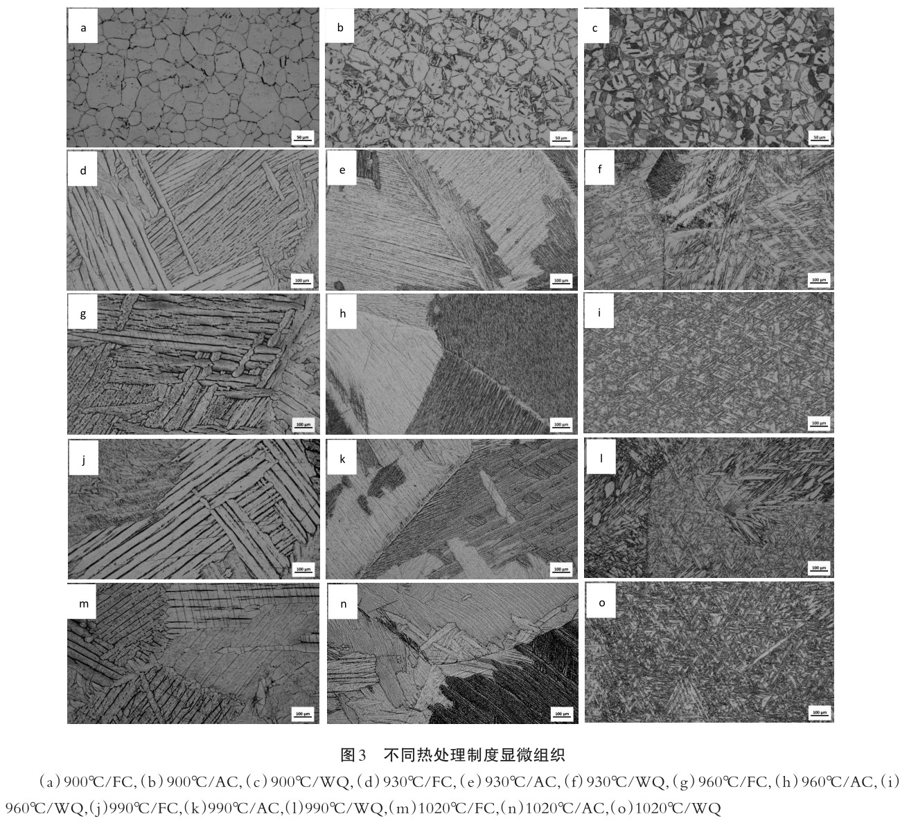 1686842585749166.jpg t3.jpg