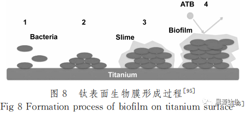 1692154927579848.png 11.png