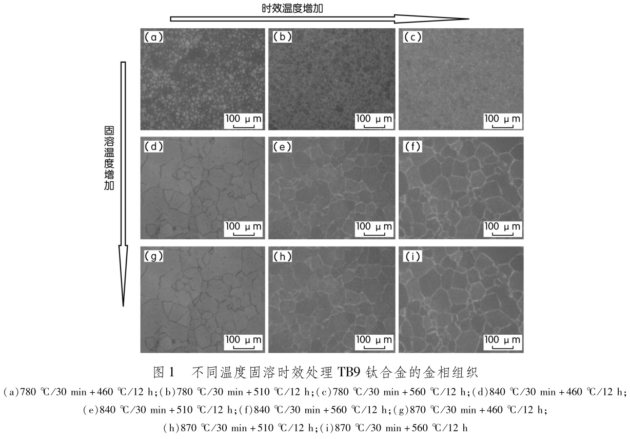 1694488147863364.jpg t1.jpg