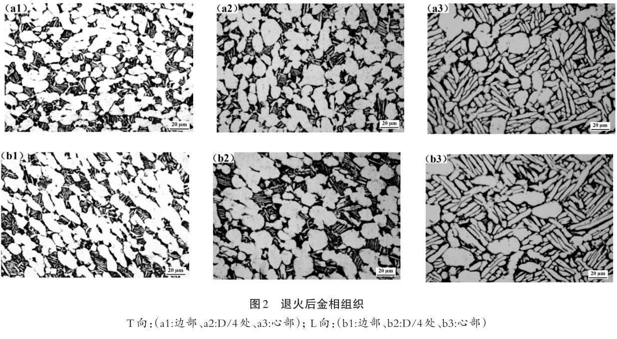 1694488611409779.jpg t2.jpg