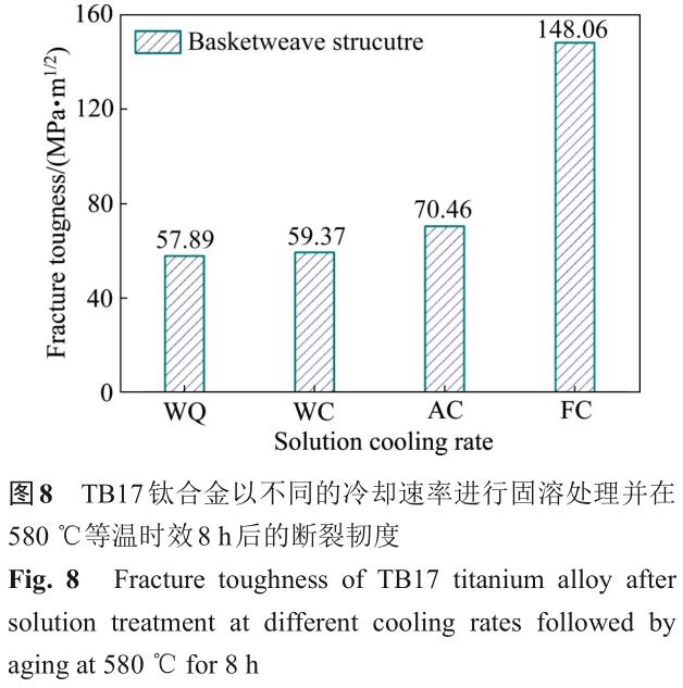 1701442272570904.jpg t8.jpg