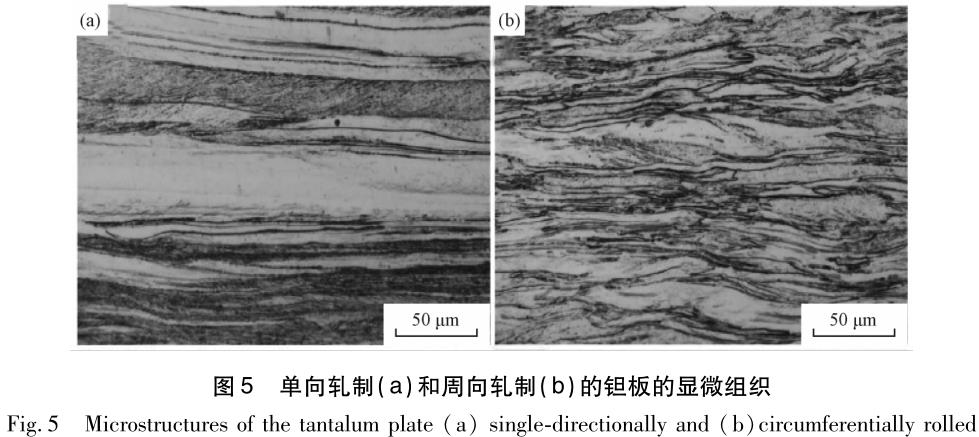 1704716231450163.jpg t5.jpg