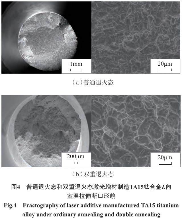 1705706573709746.jpg t4.jpg