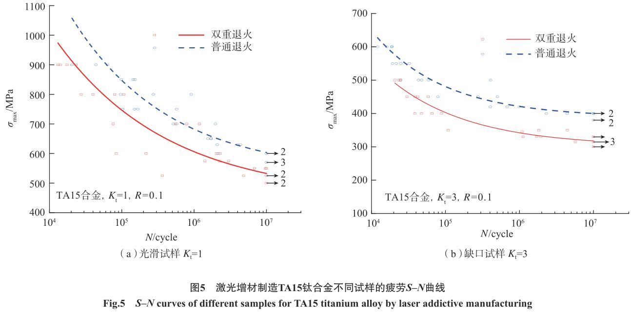 1705706583840418.jpg t5.jpg