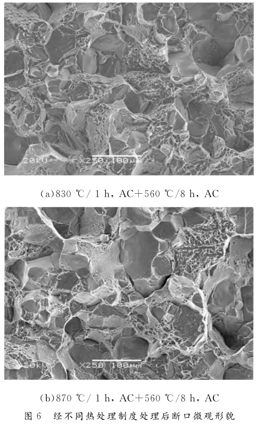 1707988606523659.jpg t6.jpg