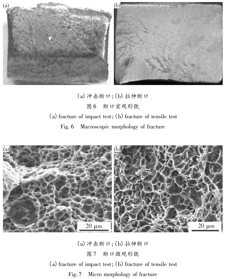 1708416481425740.jpg t6-7.jpg