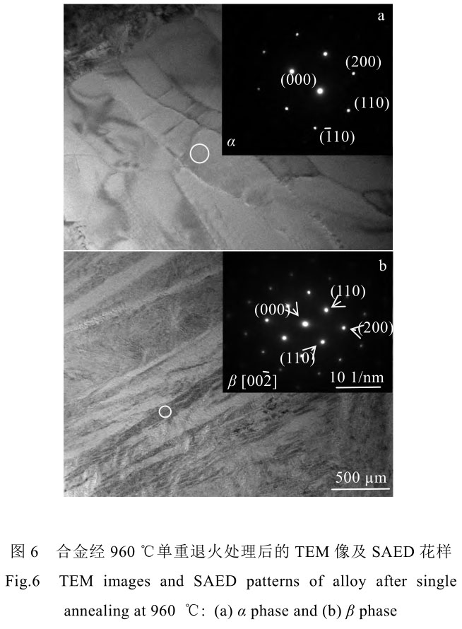 1708444160509213.jpg t6.jpg