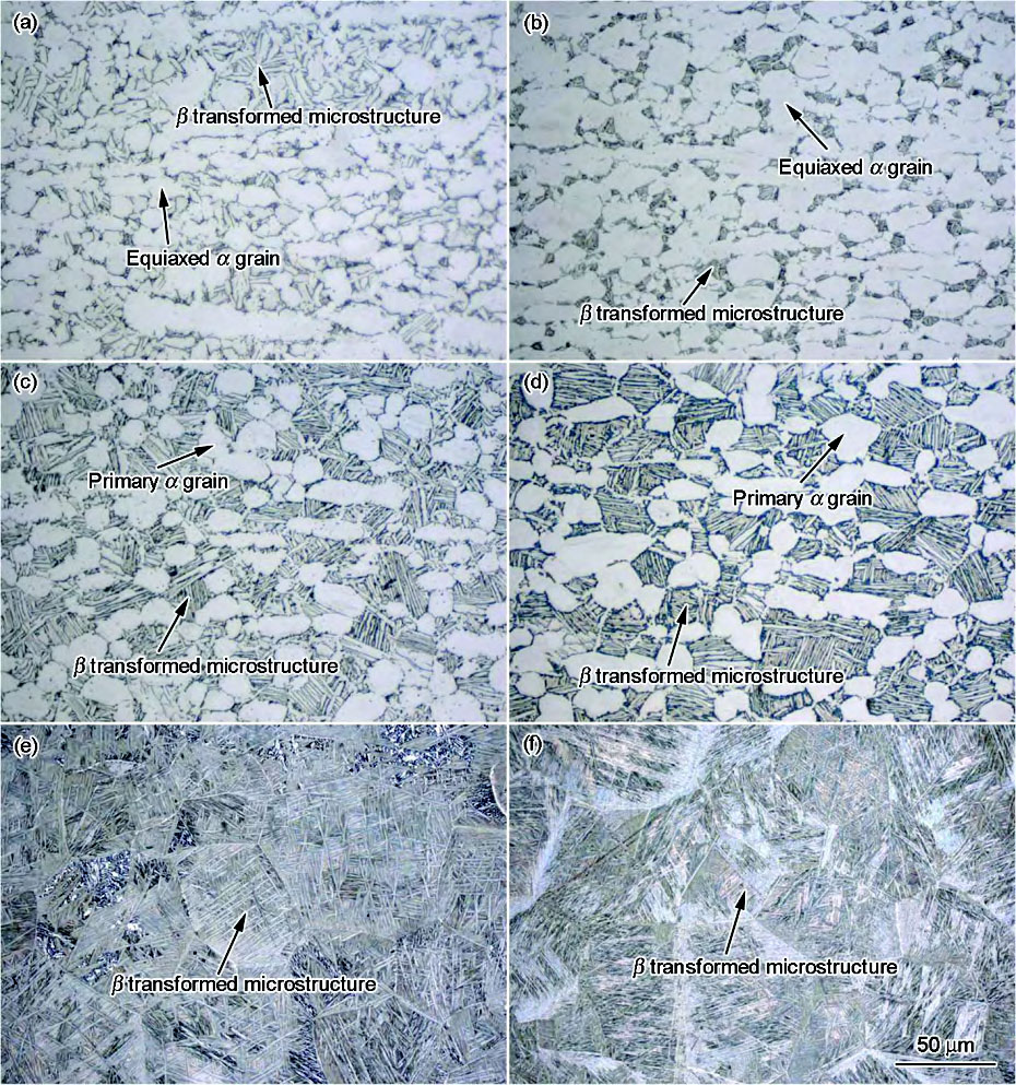 1709604681844054.jpg 2.jpg