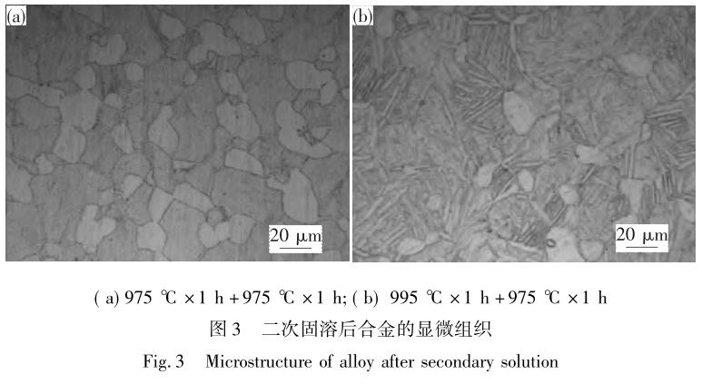 1711444743912159.jpg t3.jpg