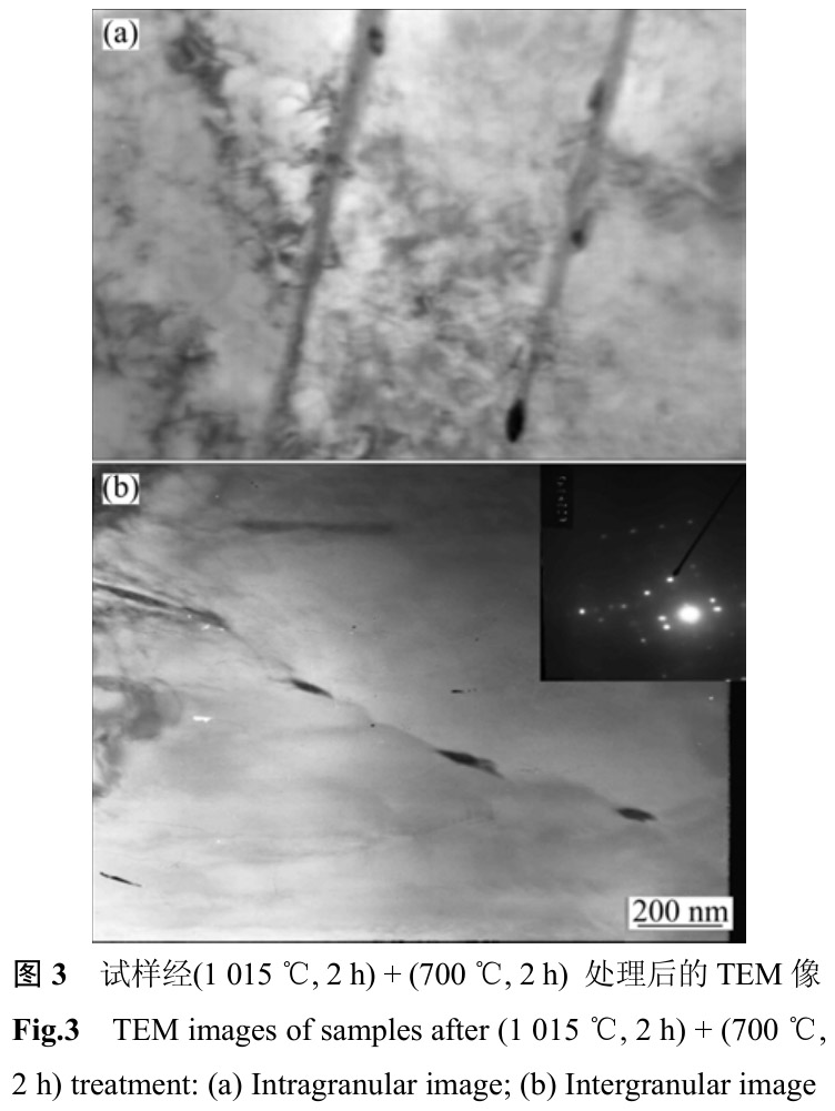 1712459092291541.jpg t3.jpg