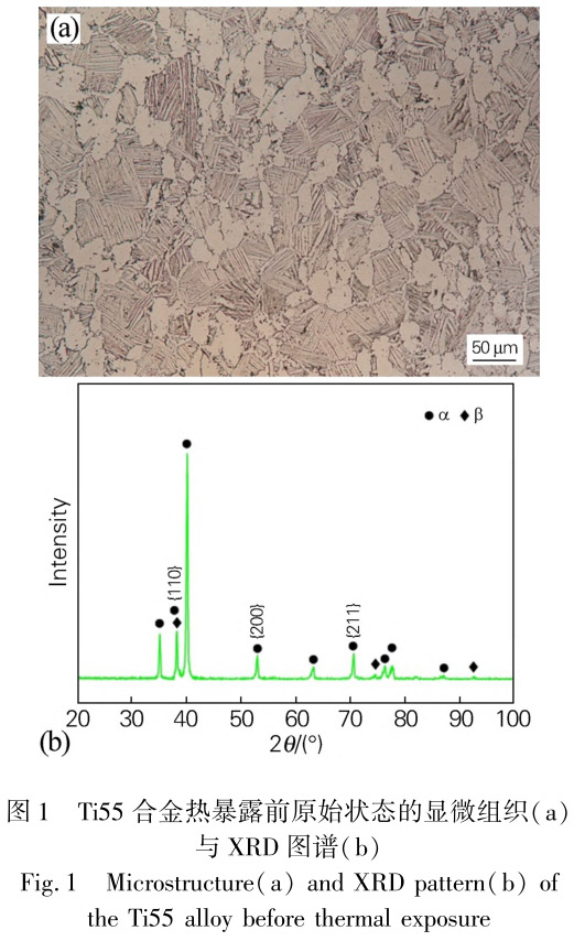 1713441075794129.jpg 未標(biāo)題-1.jpg