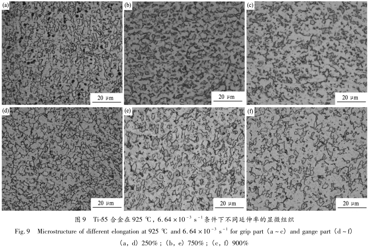 1713442947137639.jpg 未標(biāo)題-8.jpg