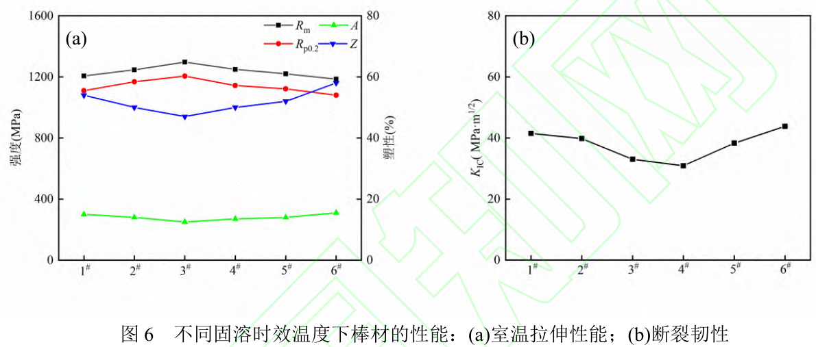 1715515510814696.jpg t6.jpg