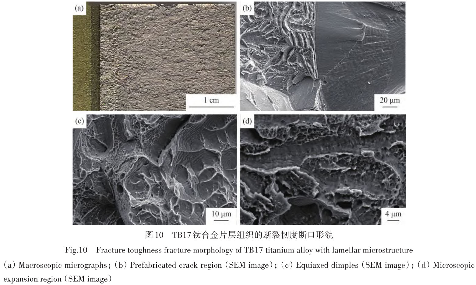 1716173814750746.jpg t10.jpg