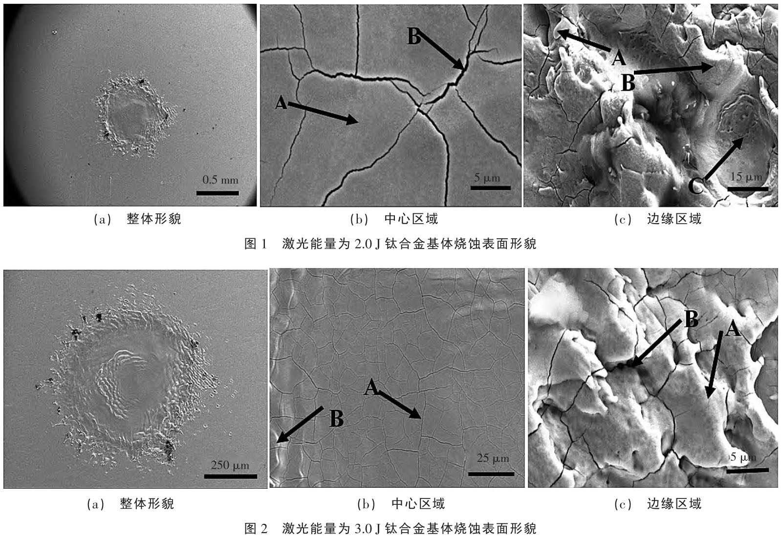 1717409574797900.jpg t1-2.jpg