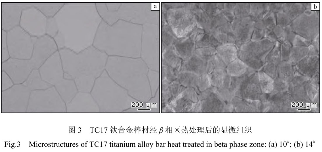 1719969458491936.jpg 3.jpg