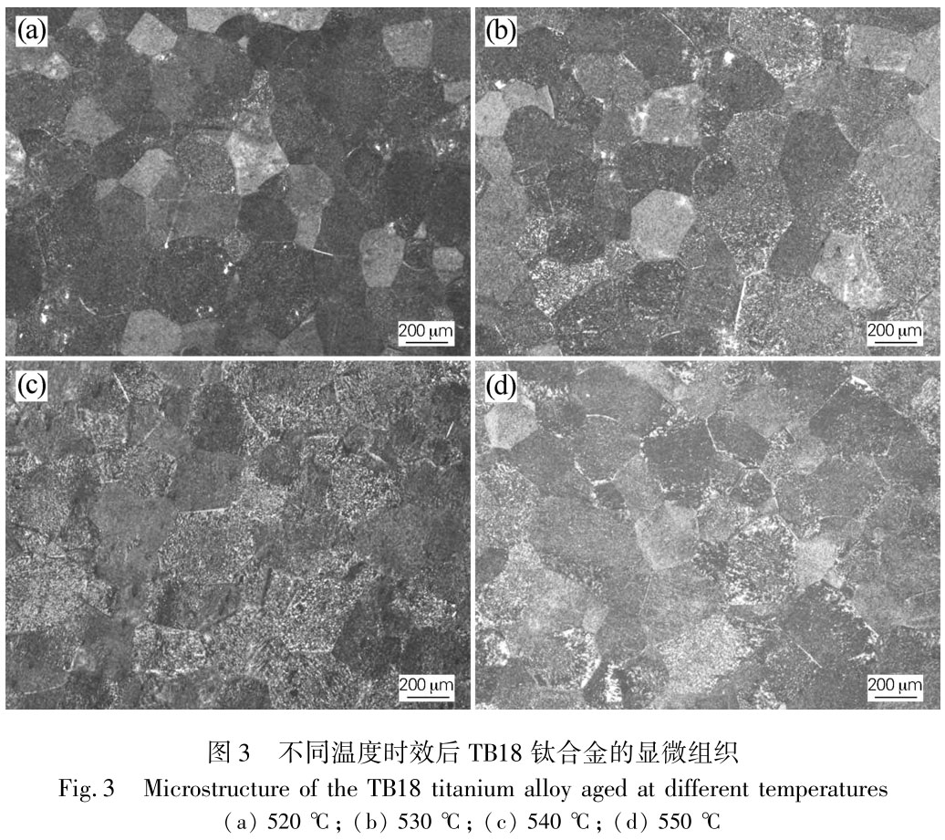 1721009912958536.jpg t3.jpg