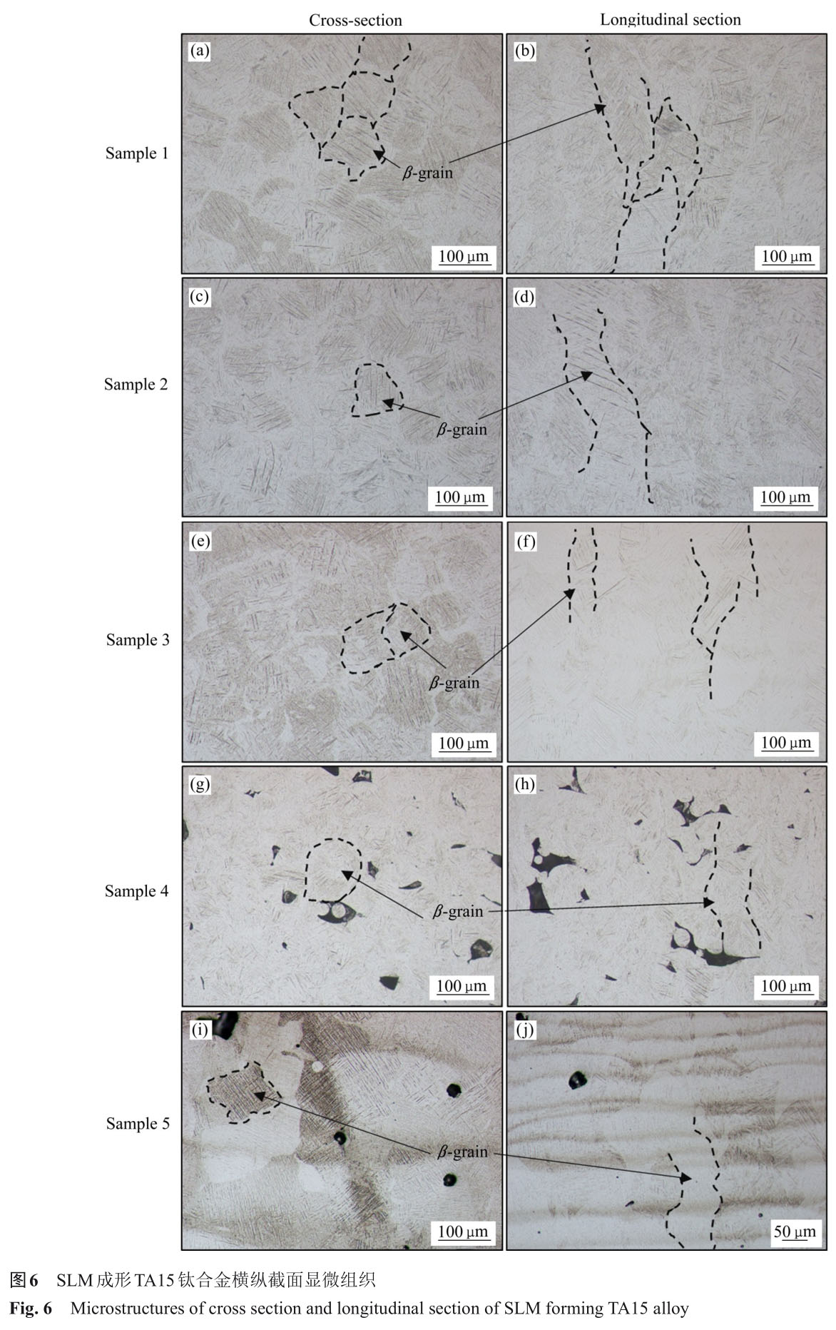 1721808895371827.jpg t6.jpg