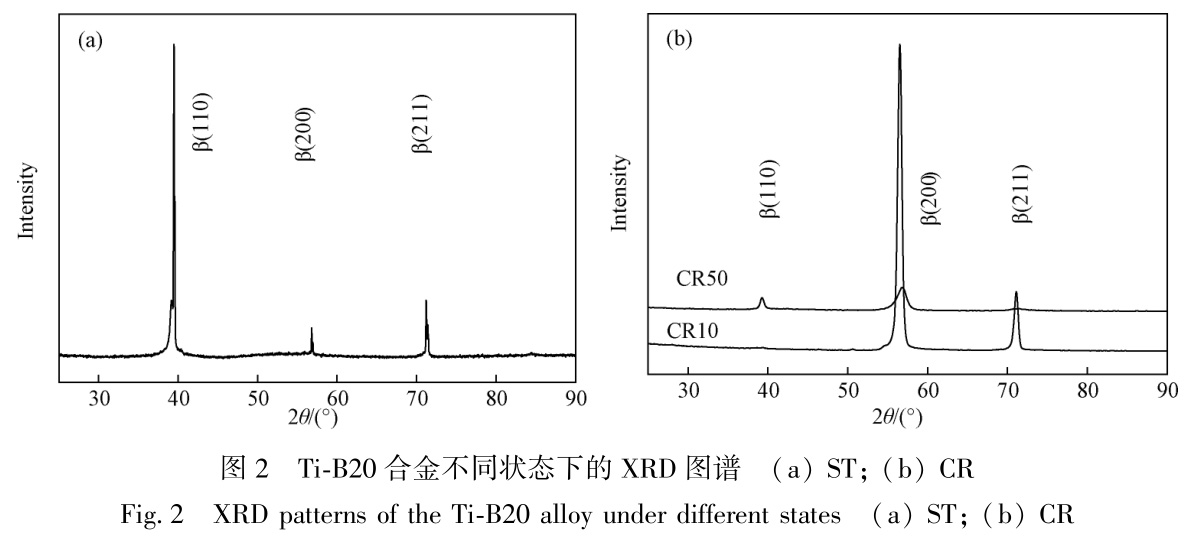 1728126468310860.jpg t2.jpg