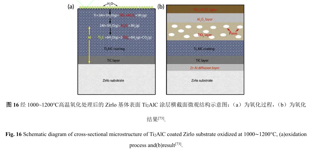 1729135336899774.jpg 16.jpg