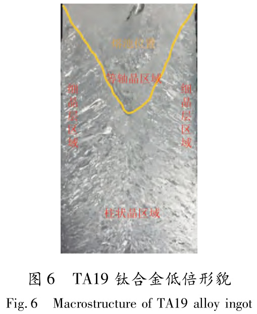 1733366810538720.jpg t6.jpg