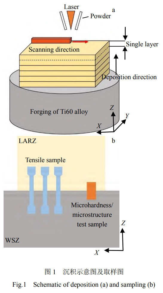 1739628307704058.jpg 1.jpg
