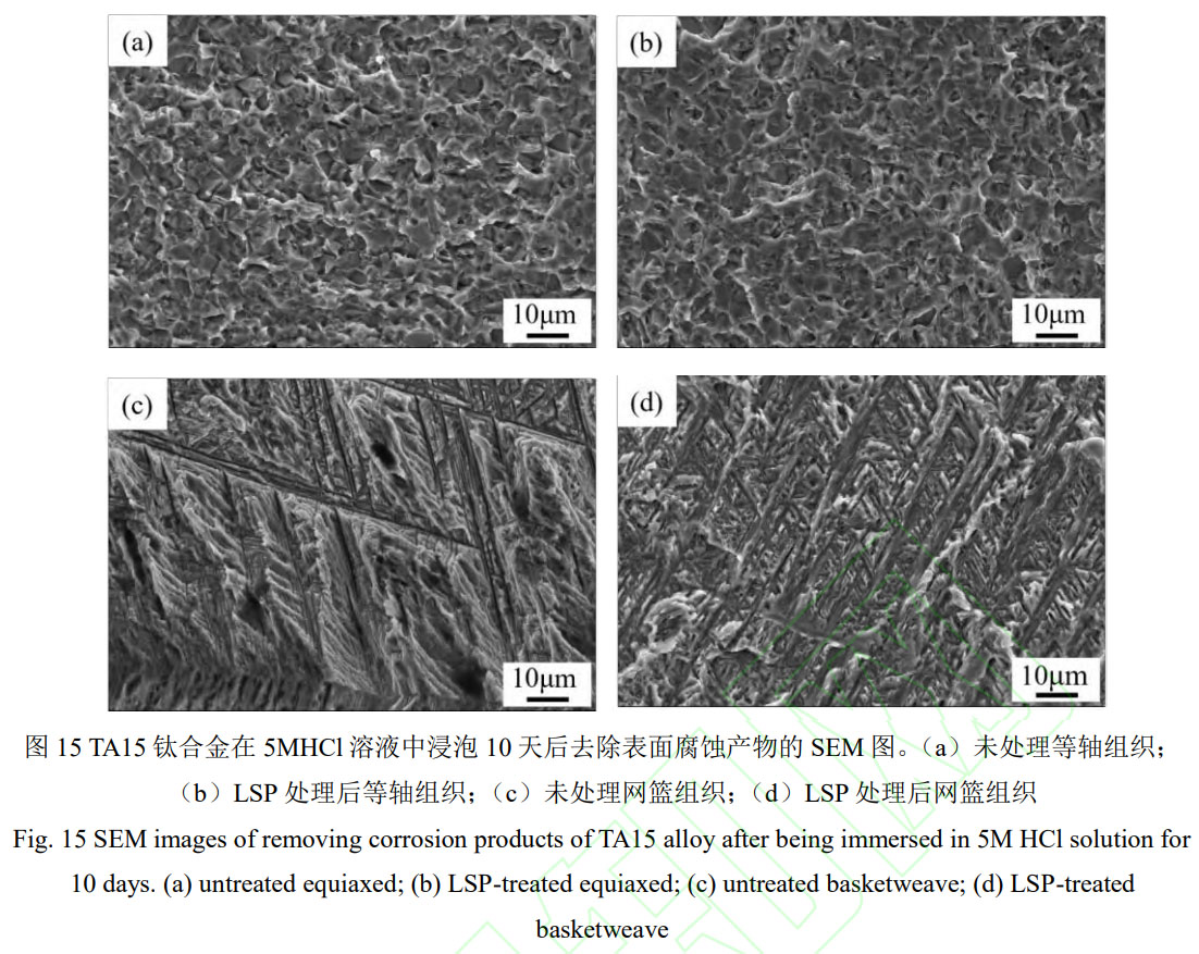 1756392905865536.jpg 未標題-8.jpg