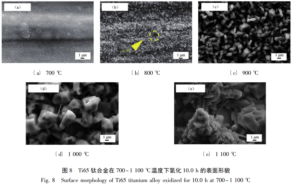 1762333710753891.png 截圖20251105165938.png